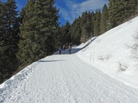 X2019-01-14 1151 Lots of others on trail this nice day.jpg